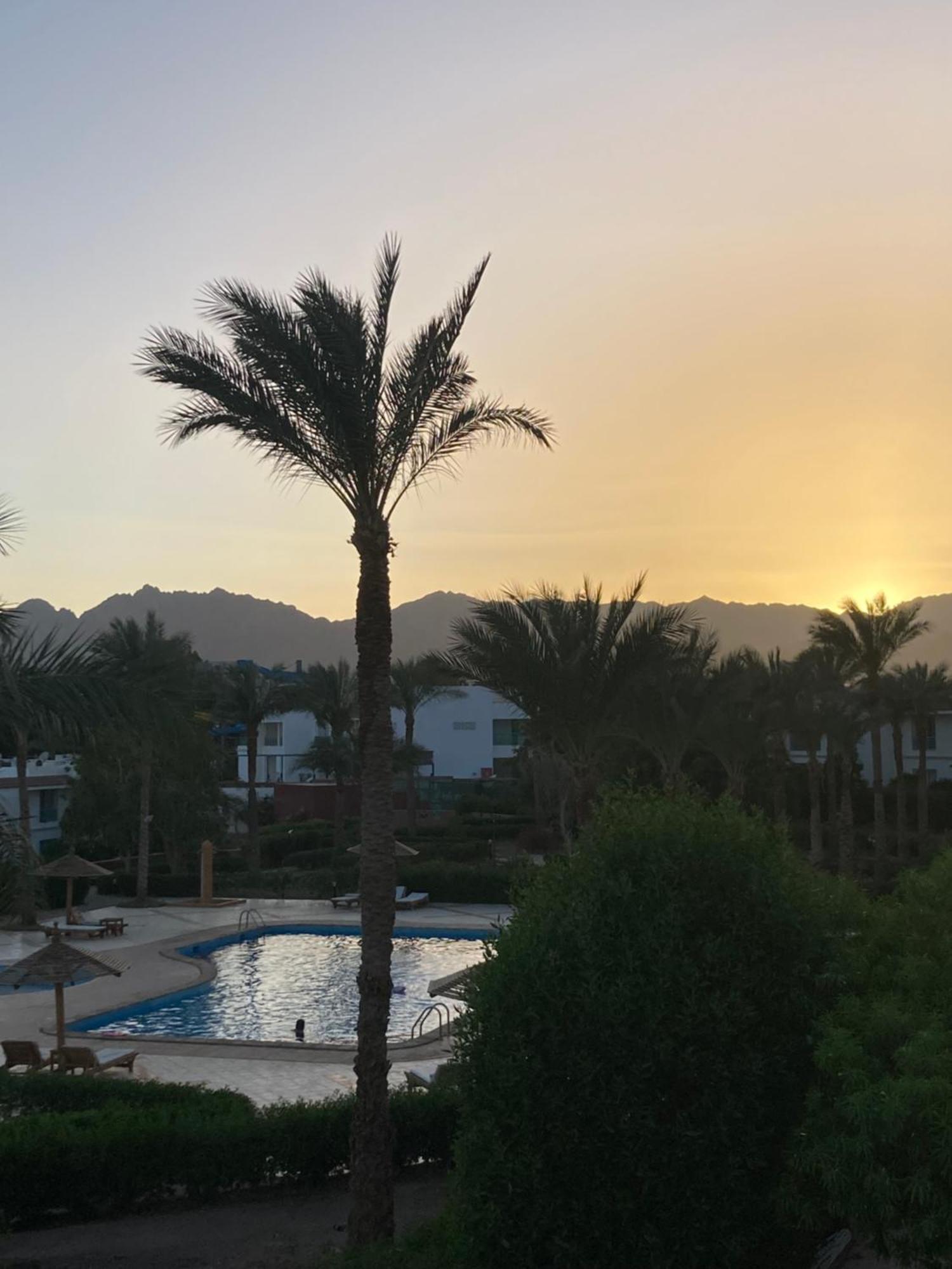 Unique Sunset Studio Apartment Sharm el-Sheikh Bagian luar foto